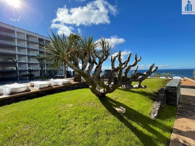 Apartamento T2 para Venda em São Martinho Foto 11