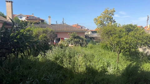 Terreno para Venda em São Domingos de Rana