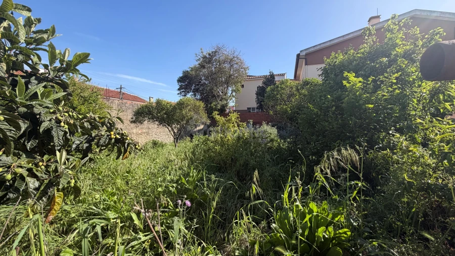 Terreno para Venda em São Domingos de Rana Foto 9