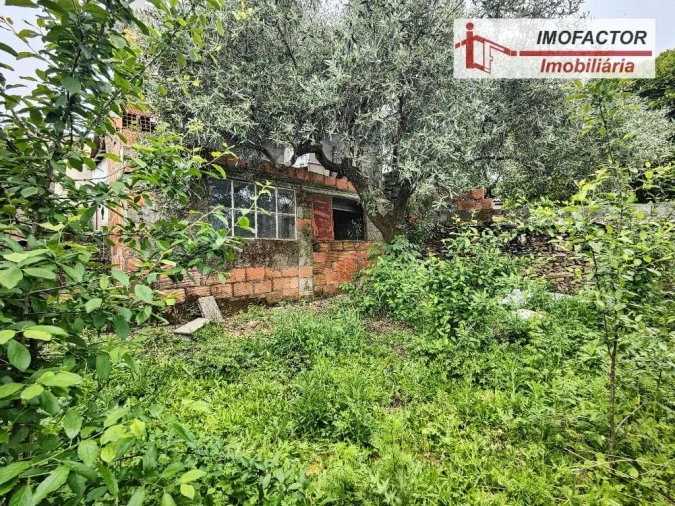 Moradia T1 para Venda em Castelo Branco Foto 16