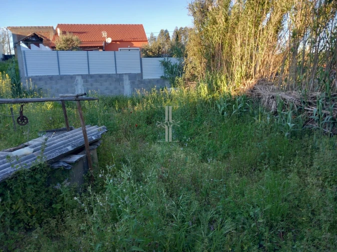 Terreno para Venda em Arneiro das Milhariças Foto 5