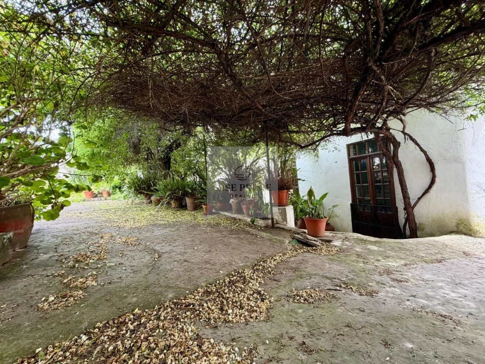 Moradia T8 para Venda em Aljustrel e Rio de Moinhos Foto 23