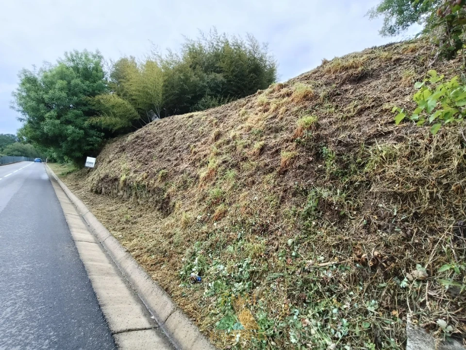 Terreno para Venda em Gondoriz Foto 10
