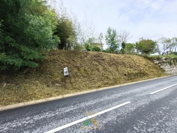 Terreno para Venda em Gondoriz