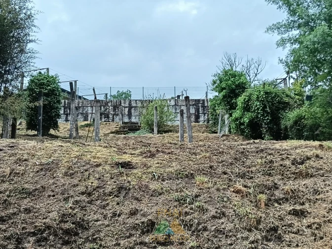 Terreno para Venda em Gondoriz Foto 7