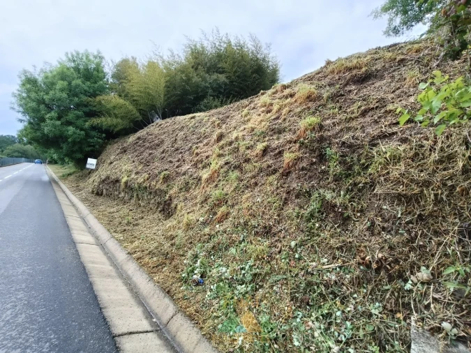 Terreno para Venda em Gondoriz Foto 10