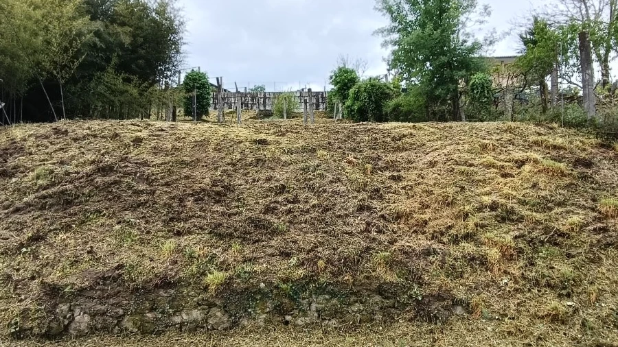 Terreno para Venda em Gondoriz