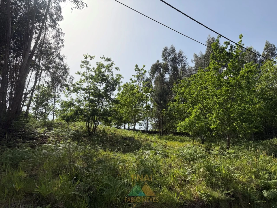 Terreno para Venda em Sabadim Foto 14