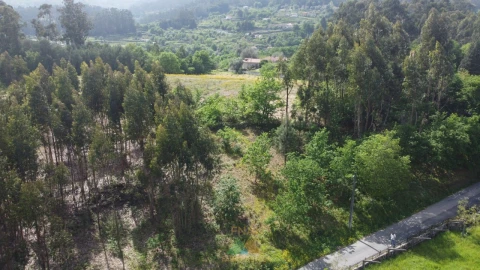 Terreno para Venda em Sabadim