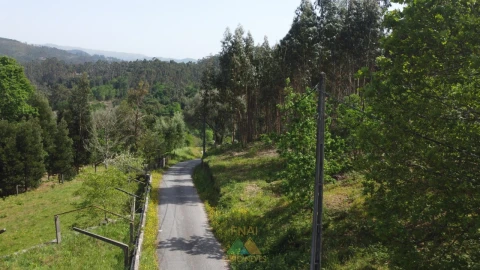 Terreno para Venda em Sabadim