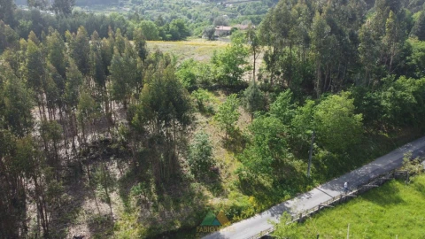 Terreno para Venda em Sabadim