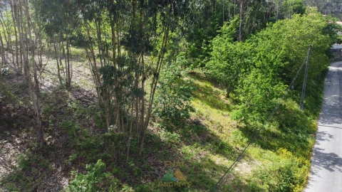 Terreno para Venda em Sabadim