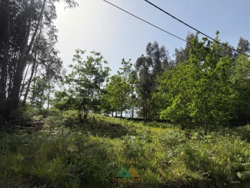 Terreno para Venda em Sabadim