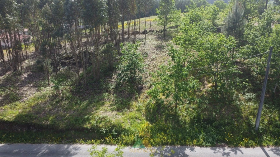 Terreno para Venda em Sabadim Foto 3