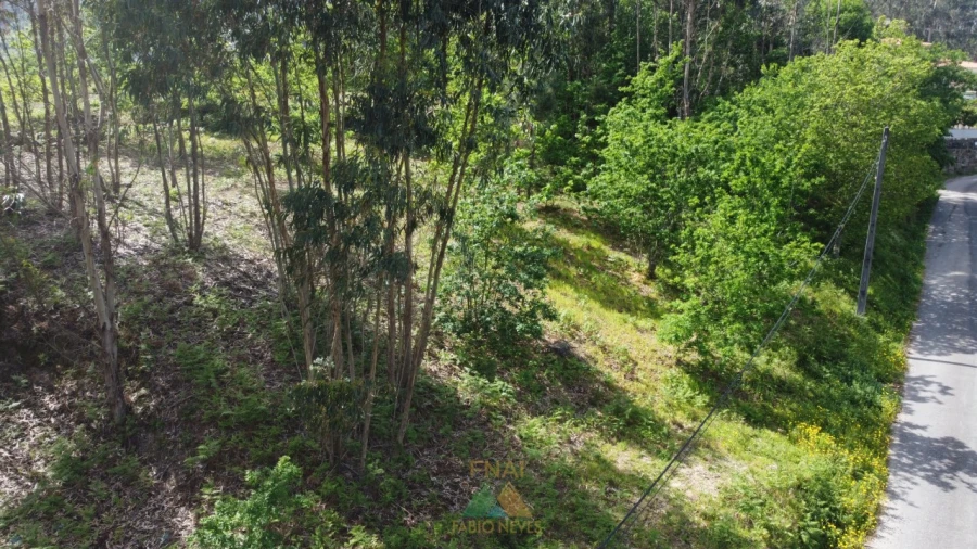 Terreno para Venda em Sabadim Foto 9