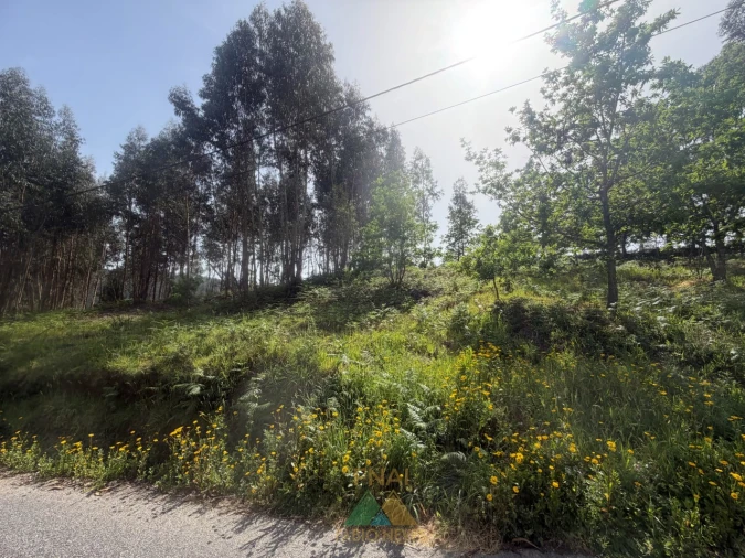 Terreno para Venda em Sabadim Foto 13