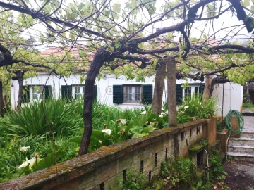 Moradia T3 para Venda em Covas