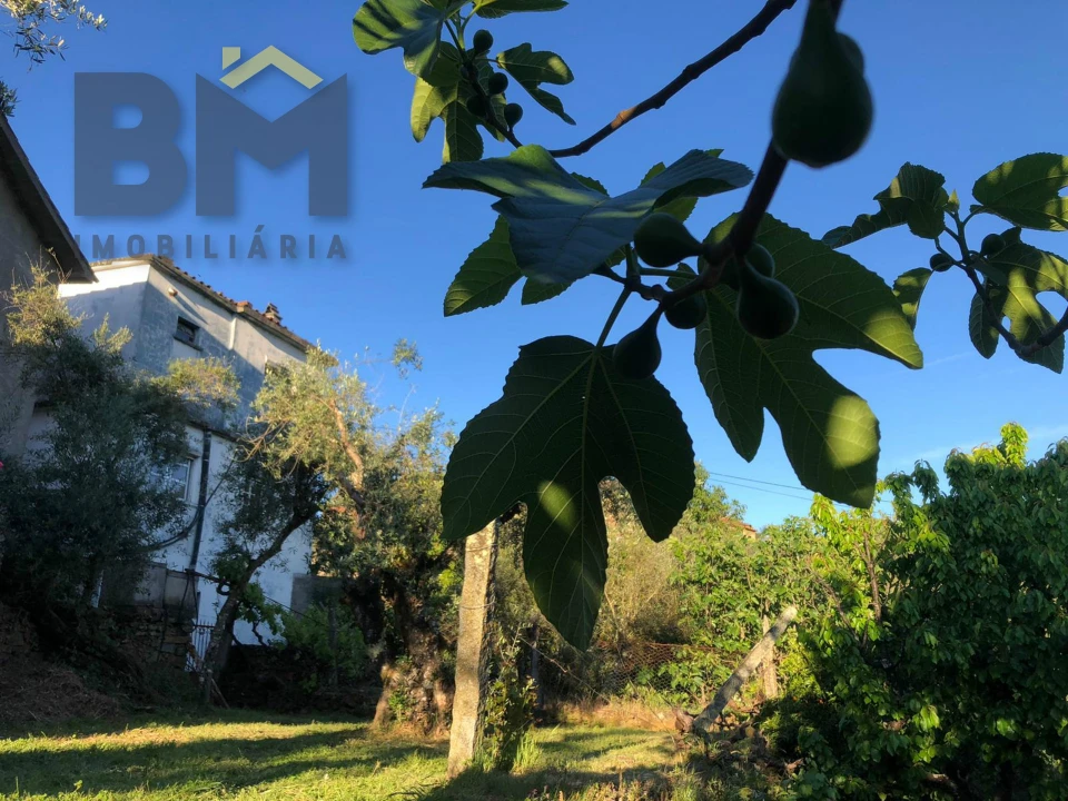 Moradia T2 para Venda em Barroca Foto 21