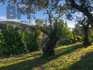 Moradia T2 para Venda em Barroca