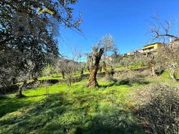 Moradia T2 para Venda em Barroca