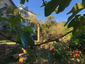 Moradia T2 para Venda em Barroca