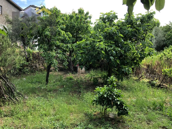 Moradia T2 para Venda em Barroca Foto 25
