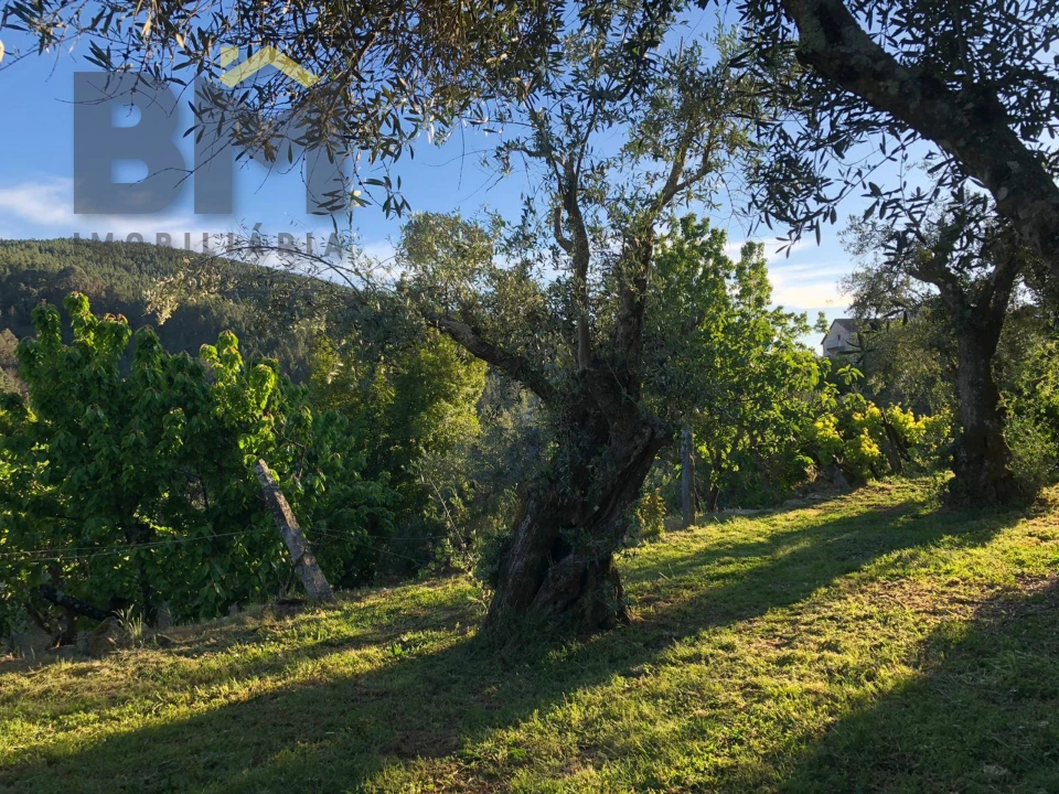 Moradia T2 para Venda em Barroca Foto 27