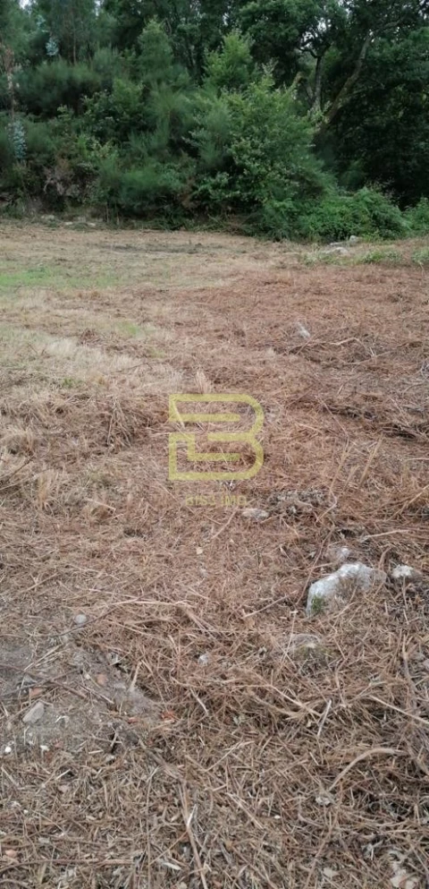 Terreno para Venda em Cete