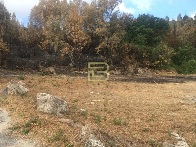 Terreno para Venda em Cete Foto 9