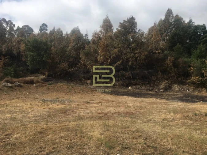 Terreno para Venda em Cete Foto 8