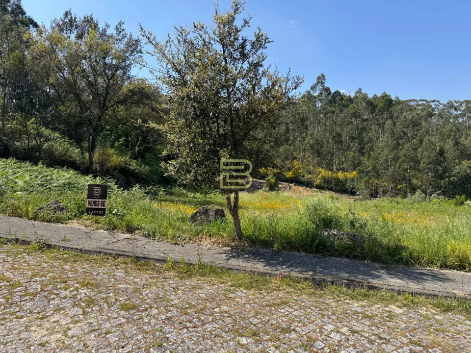 Terreno para Venda em Cete Foto 5