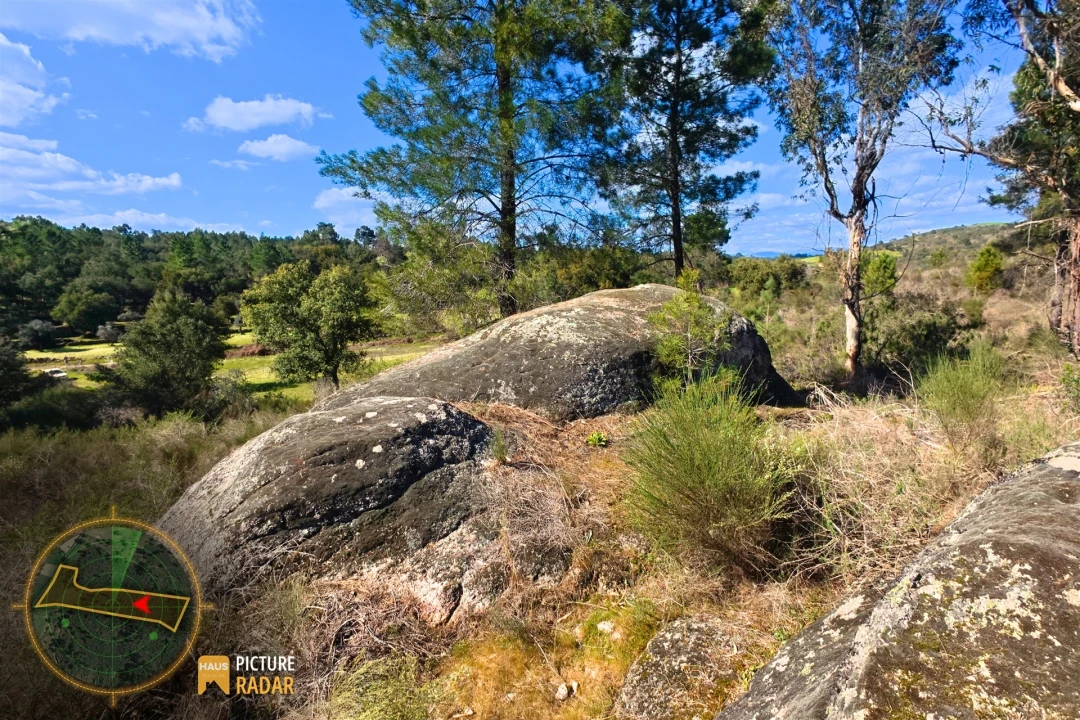 Terreno Agricola ou Rústico para Venda em Póvoa de Rio de Moinhos e Cafede Foto 19