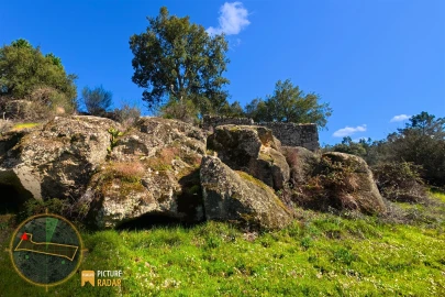 Terreno Agricola ou Rústico para Venda em Póvoa de Rio de Moinhos e Cafede
