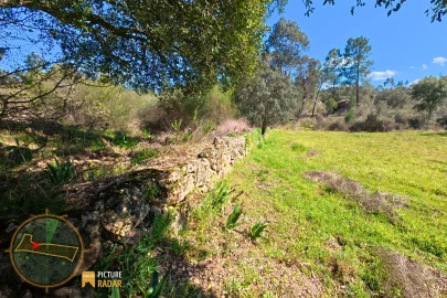 Terreno Agricola ou Rústico para Venda em Póvoa de Rio de Moinhos e Cafede