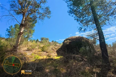 Terreno Agricola ou Rústico para Venda em Póvoa de Rio de Moinhos e Cafede