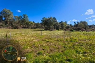 Terreno Agricola ou Rústico para Venda em Póvoa de Rio de Moinhos e Cafede