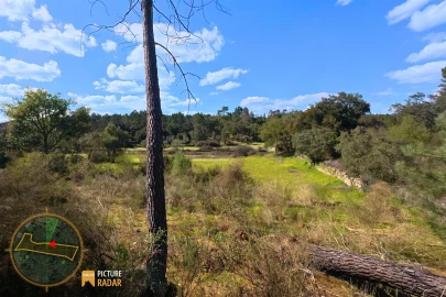 Terreno Agricola ou Rústico para Venda em Póvoa de Rio de Moinhos e Cafede