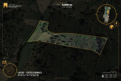 Terreno Agricola ou Rústico para Venda em Póvoa de Rio de Moinhos e Cafede