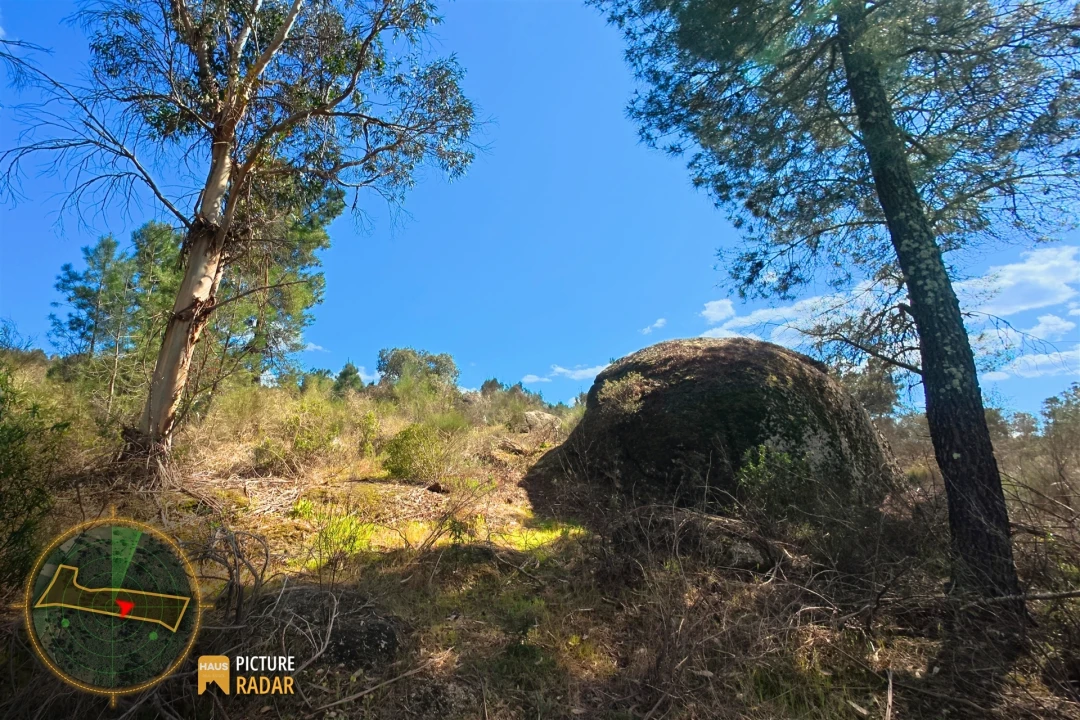 Terreno Agricola ou Rústico para Venda em Póvoa de Rio de Moinhos e Cafede Foto 21
