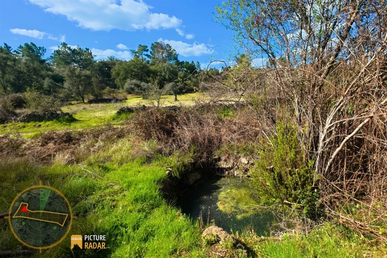 Terreno Agricola ou Rústico para Venda em Póvoa de Rio de Moinhos e Cafede Foto 8