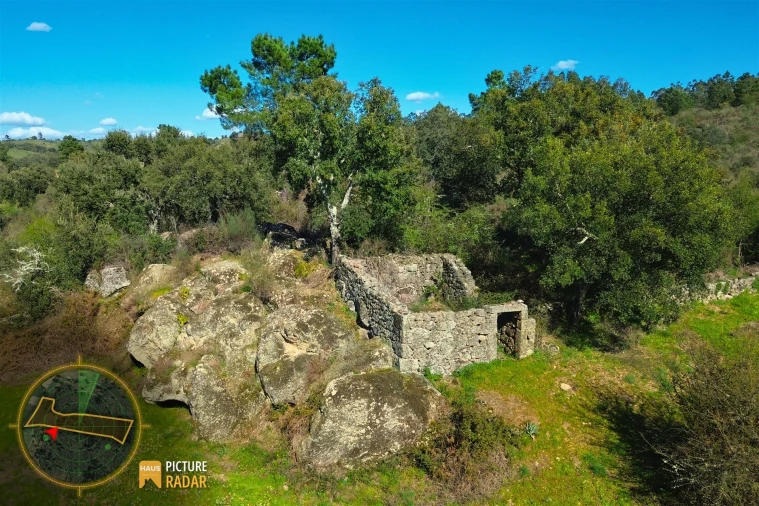 Terreno Agricola ou Rústico para Venda em Póvoa de Rio de Moinhos e Cafede Foto 14