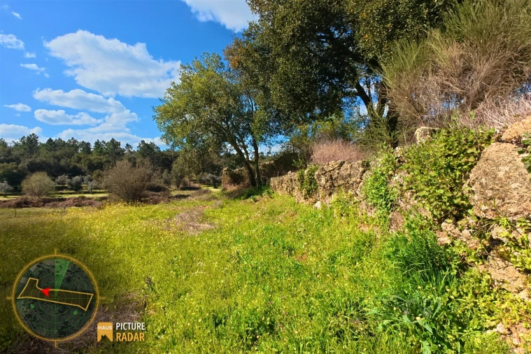 Terreno Agricola ou Rústico para Venda em Póvoa de Rio de Moinhos e Cafede Foto 17
