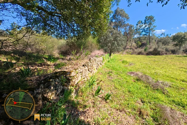 Terreno Agricola ou Rústico para Venda em Póvoa de Rio de Moinhos e Cafede Foto 16