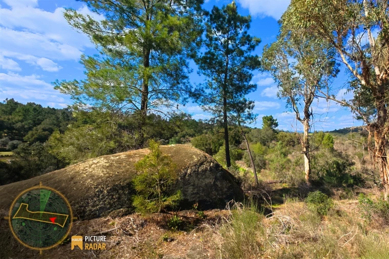 Terreno Agricola ou Rústico para Venda em Póvoa de Rio de Moinhos e Cafede Foto 20