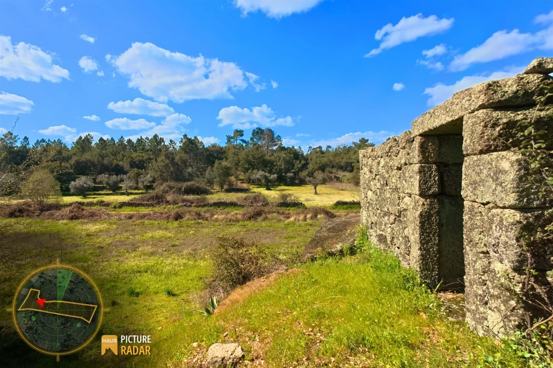 Terreno Agricola ou Rústico para Venda em Póvoa de Rio de Moinhos e Cafede Foto 10