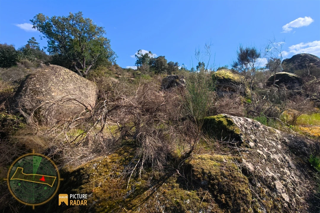 Terreno Agricola ou Rústico para Venda em Póvoa de Rio de Moinhos e Cafede Foto 23