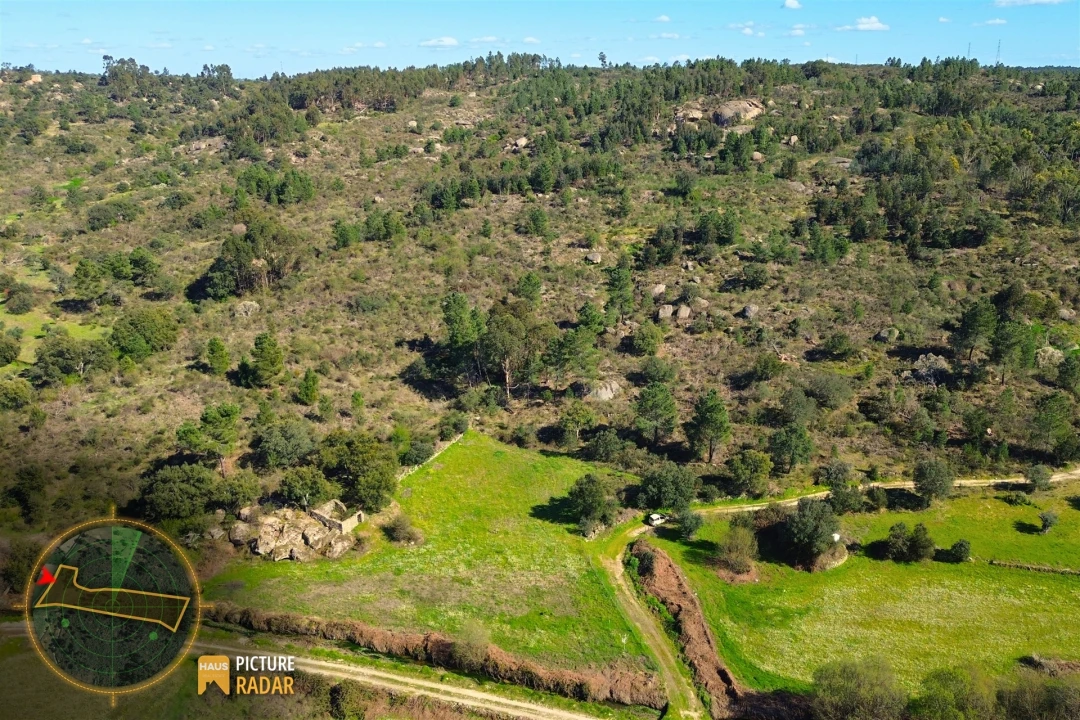 Terreno Agricola ou Rústico para Venda em Póvoa de Rio de Moinhos e Cafede Foto 11