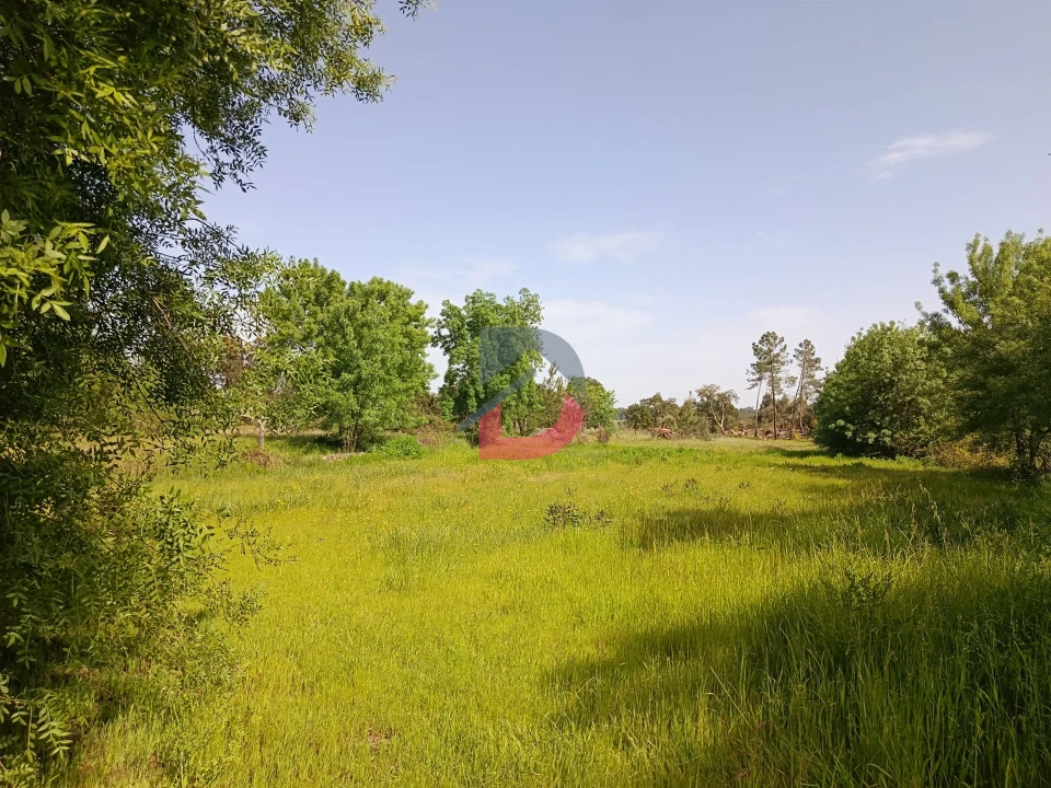 Quinta T0 para Venda em Póvoa de Rio de Moinhos e Cafede Foto 6