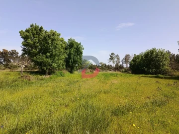 Quinta T0 para Venda em Póvoa de Rio de Moinhos e Cafede