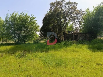 Quinta T0 para Venda em Póvoa de Rio de Moinhos e Cafede